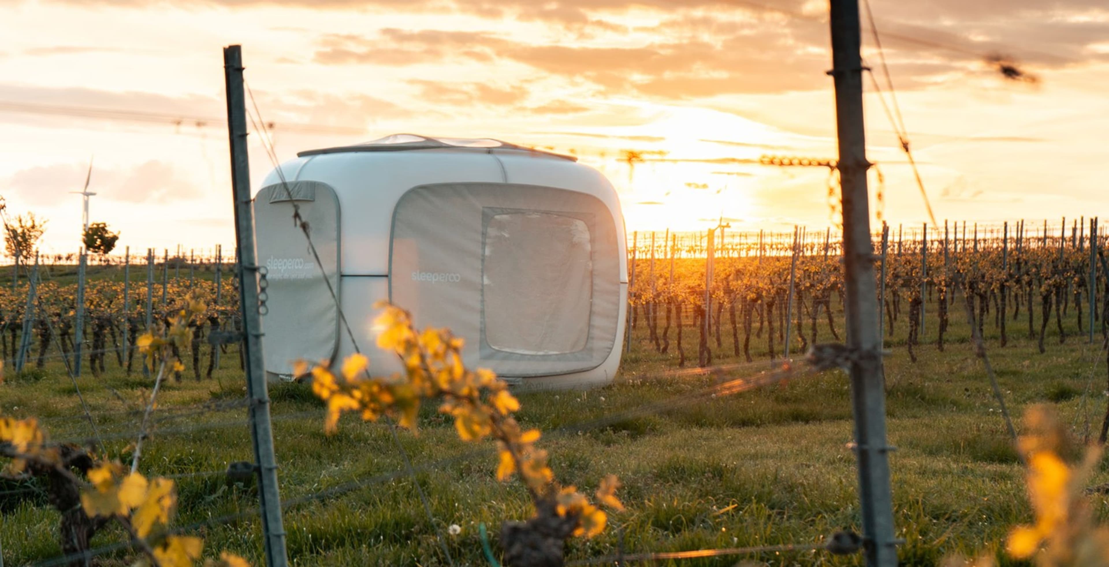 Romantik zwischen Weinreben - Cube